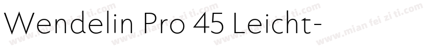 Wendelin Pro 45 Leicht字体转换